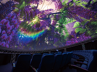 碗幕球幕穹幕解决方案